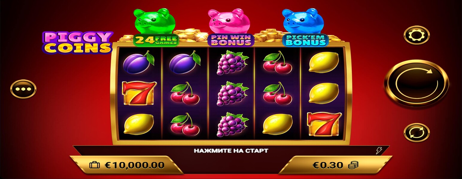 Piggy Coins